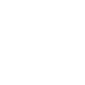 seguridad-icono